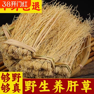 龙须养肝草护肝草广东韶关煲汤煮茶新鲜干货养肝金草丝线根熊胆草