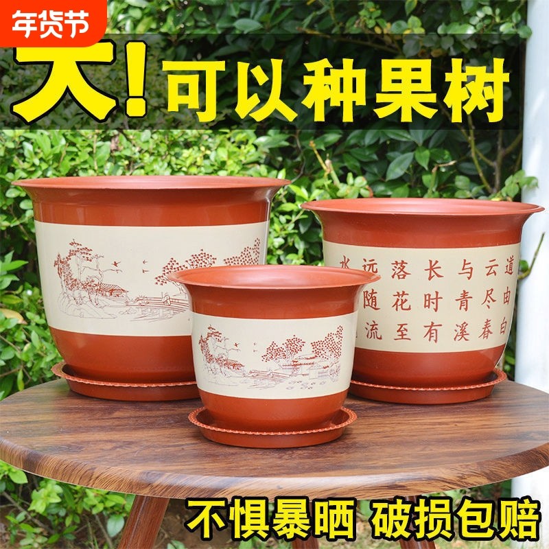 花盆仿陶瓷树脂塑料果树盆特大号盆栽绿植果树绿萝月季牡丹花盆,鲜花速递/花卉仿真/绿植园艺,花盆,淘宝优惠券,粉丝福利购,淘宝优惠卷