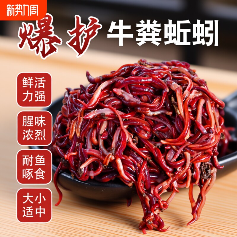 蚯蚓活饵鲜活红虫垂钓鱼饵料鲫鱼鲤鱼野钓黑坑鱼料打窝料鱼食通杀