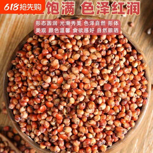 东红高粱酿酒酿醋梗高粱五谷杂五谷杂粮浓香型农家自产