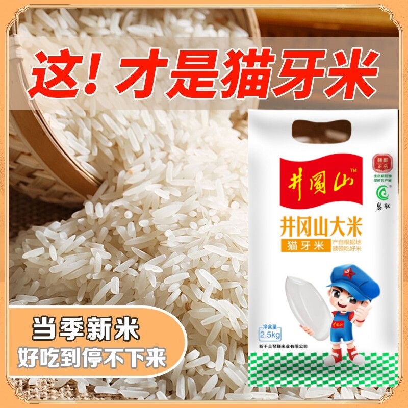 猫牙米长粒香米正宗江西丝苗大米超长油粘老人爱吃的当季特色生态