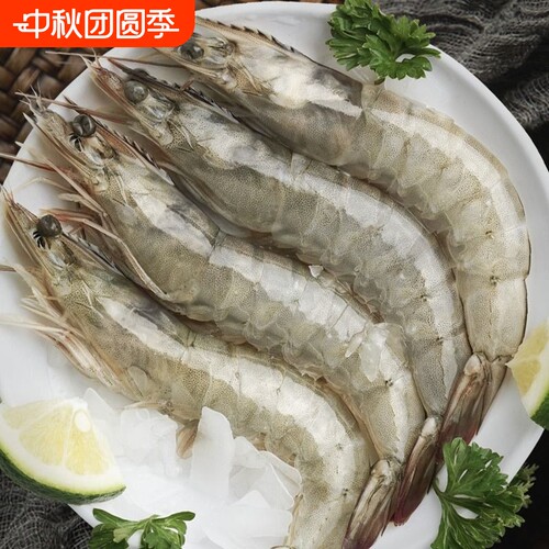 速冻锁鲜白虾大虾鲜活急冻青虾白对虾单冻虾冷冻海虾海鲜水产新鲜