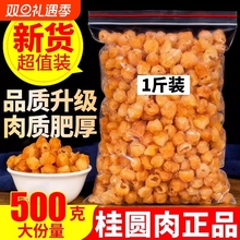 桂圆肉干桂圆干无核500g泡水特级肉干龙眼灯笼新高州散装新货桂圆
