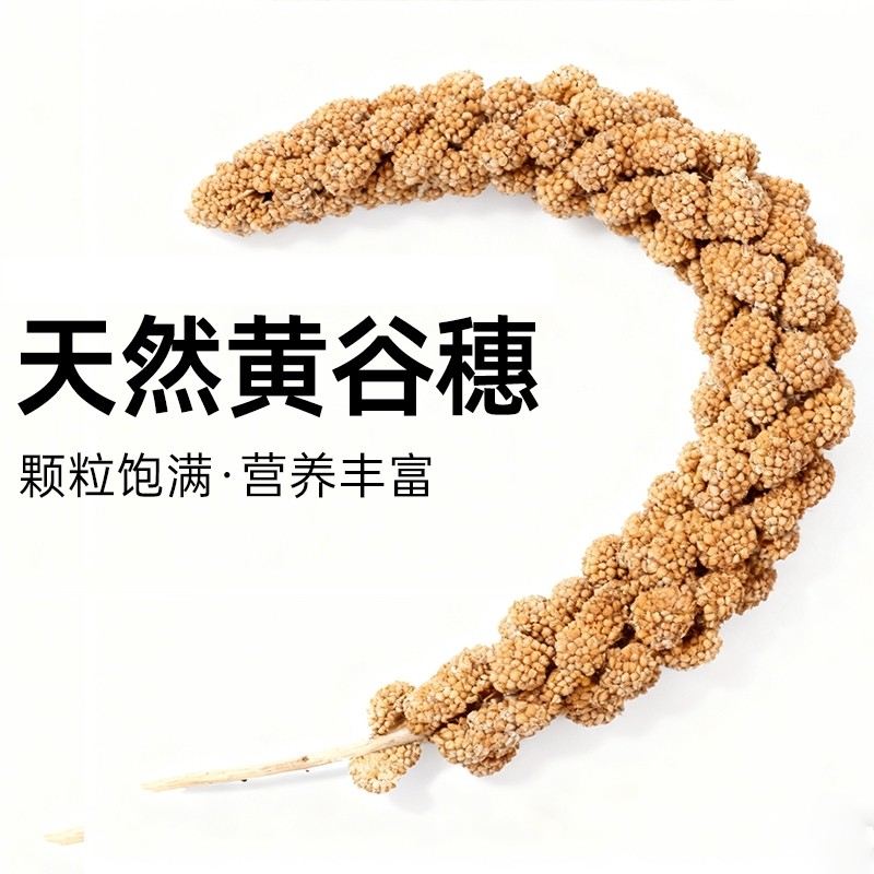 新货天然黄谷穗带壳谷子小米穗虎皮玄凤牡丹文鸟粮零食鹦鹉专用,宠物/宠物食品及用品,鸟食,淘宝优惠券,粉丝福利购,淘宝优惠卷