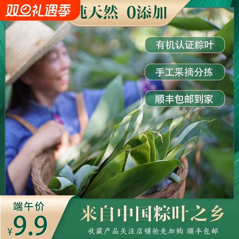 天然有机烘干粽子叶无添加端午天然粽叶新鲜大粽叶装箬竹叶现摘