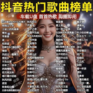 2025抖音新款 车载音乐u盘带歌词高品质无损热门流行歌曲DJ优盘