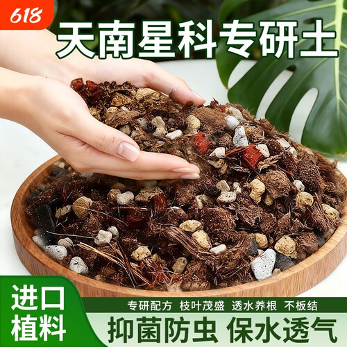 天南星科热植专用龟背竹营养土