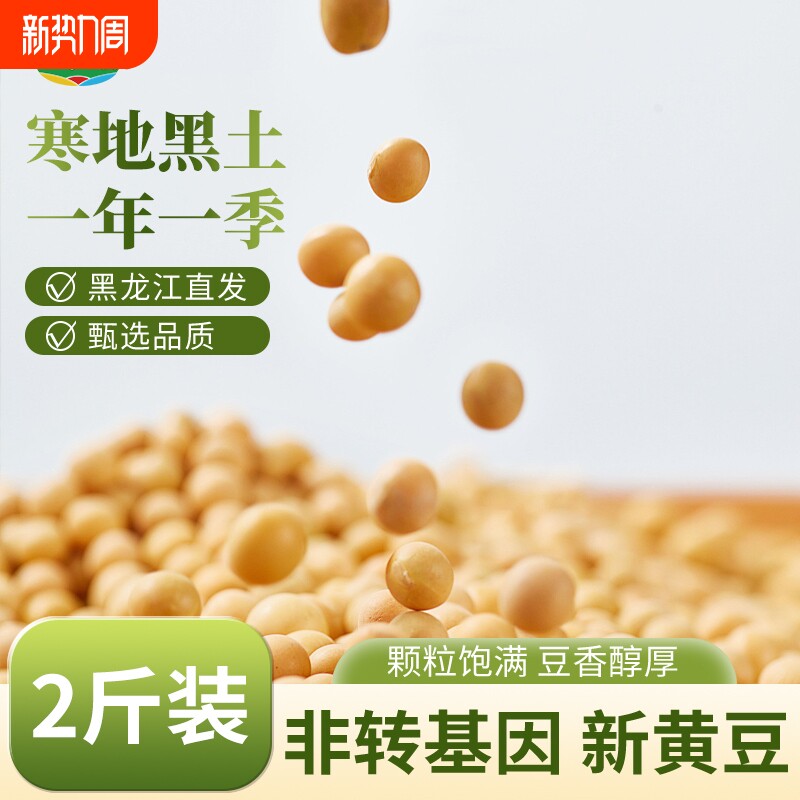 1斤当季新豆5斤装非转基因大豆高蛋白磨豆腐打豆浆生豆芽专用黄豆