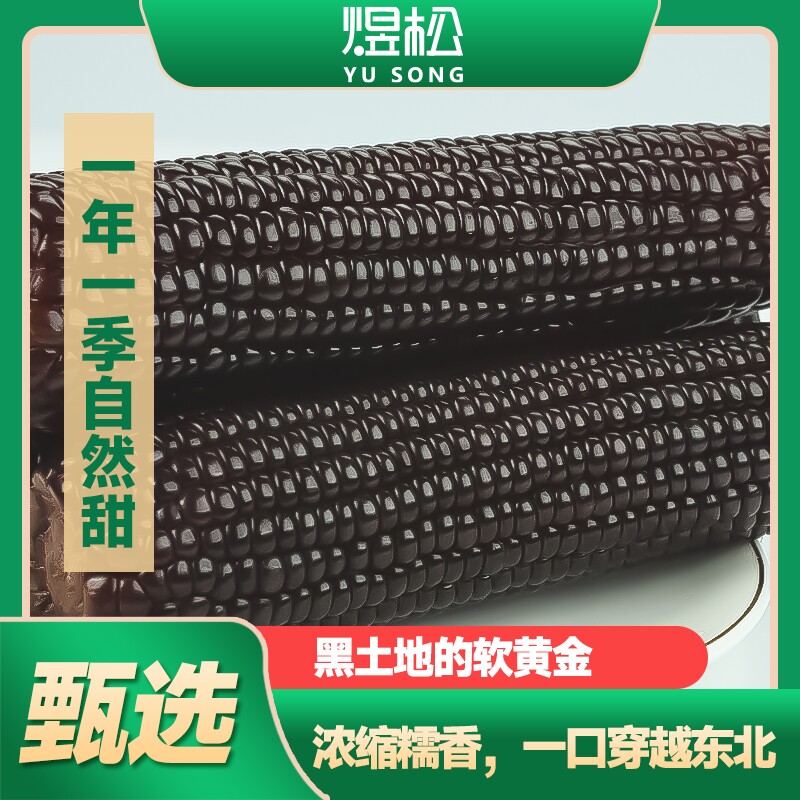 新鲜东北黑玉米真空包装富含花青素香甜软糯粗粮健康糯玉米粘玉米
