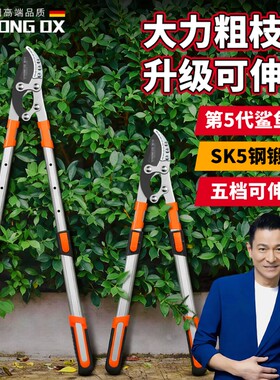 德国果树修枝强力粗枝剪省力修剪