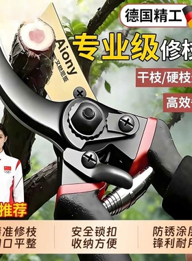 德国剪枝园艺剪刀园林花艺修剪树枝剪刀果树剪刀粗大花剪剪子工具