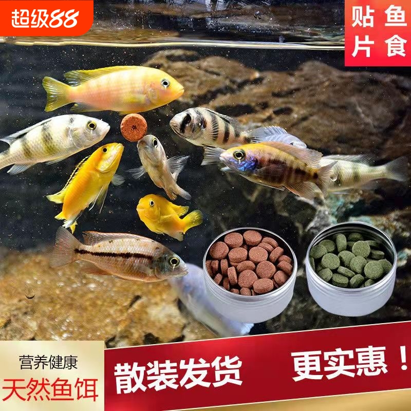 贴片鱼食小型鱼饲料孔雀鱼鱼粮灯鱼斗鱼金鱼热带鱼通用开口丰年虾