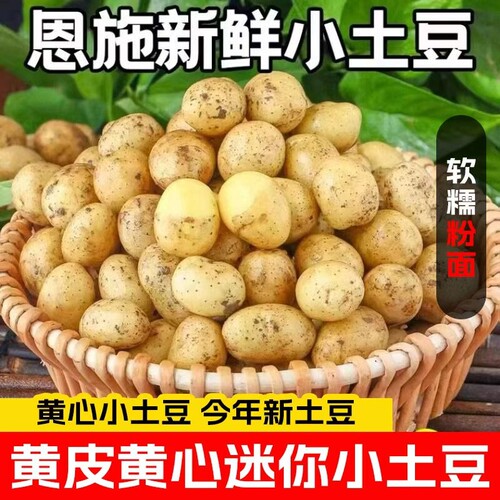 正宗恩施小土豆新鲜富硒