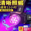 专用强光款 立胜蝎子灯2025新款 大功率型充电紫光头灯长续航头灯
