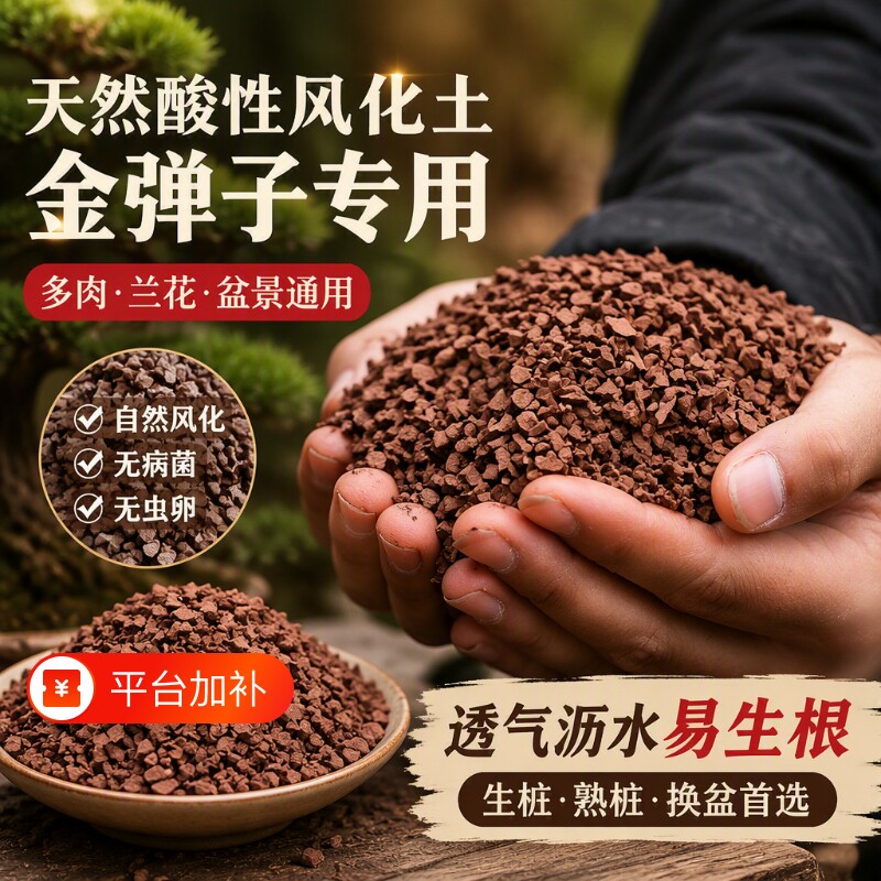天然风化石颗粒金弹子专用土种植营养土多肉兰花勒竹盆景生根土壤