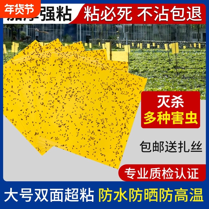 双面粘虫板大棚果树瓜菜园黄板沾小黑飞防虫贴纸蓟马蓝板诱虫板,居家日用,粘蝇纸,淘宝优惠券,粉丝福利购,淘宝优惠卷