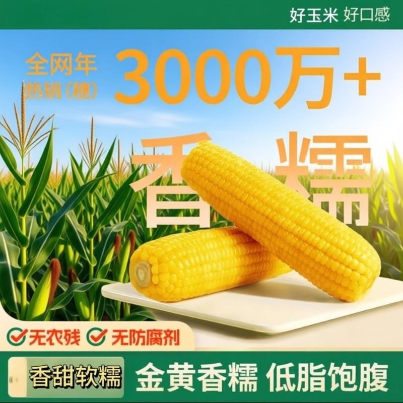 新鲜东北甜糯玉米非转基因粗粮代餐低脂饱腹10支大棒真空装非即食
