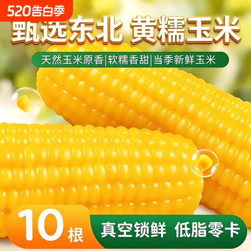 当季东北黄糯玉米棒粘糯玉米批发加热即食真空装玉米代餐早餐粗粮