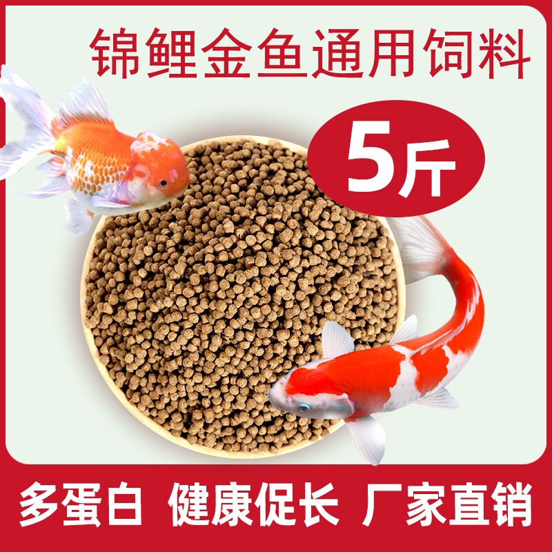 鱼食锦鲤鱼饲料金鱼专用小颗粒草金兰寿通用鱼粮观赏鱼鱼料大颗粒