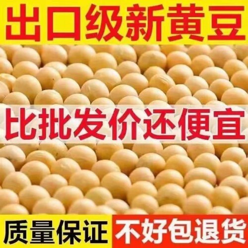 东北黄豆新豆农家大豆非转基因黑龙江打豆浆磨豆腐新鲜早餐黄豆