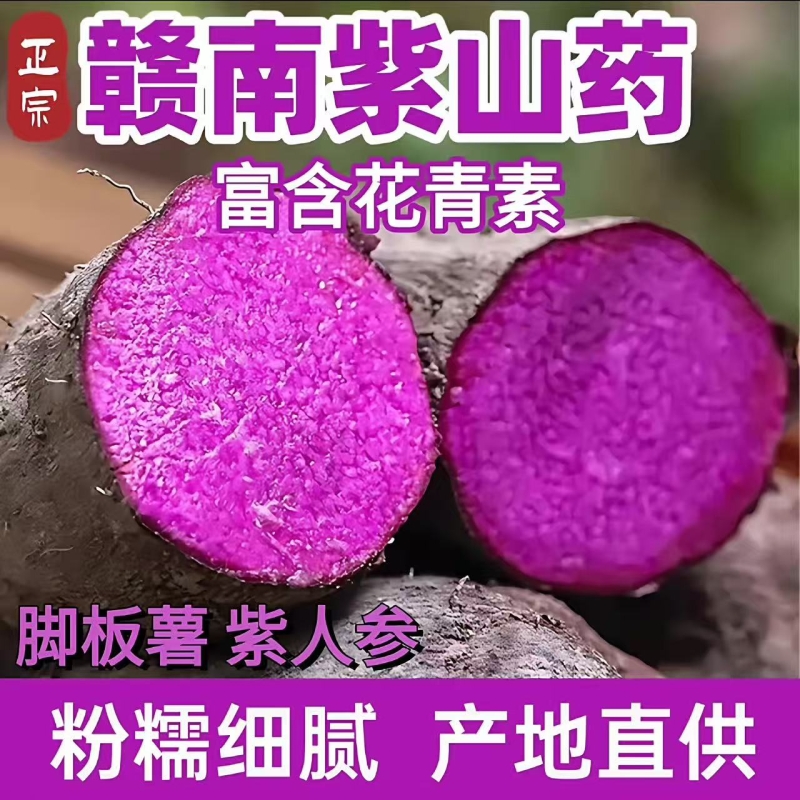 赣南紫山药紫人参脚板薯紫淮山铁棍山药农家自种现挖现发新鲜蔬菜