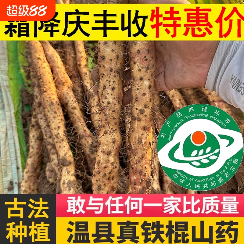 温县垆土铁棍山药新鲜蔬菜铁杆淮山药正宗河南焦作怀山药粉干5斤