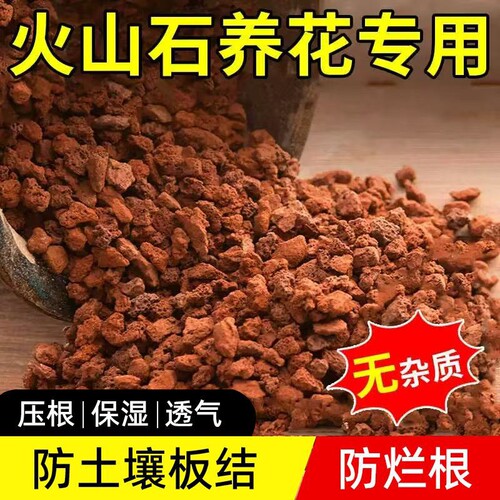 园艺专用火山石防板结烂根