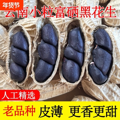 云南富硒黑花生带壳晒干黑花生新货黑花生仁精选黑皮花生米5斤