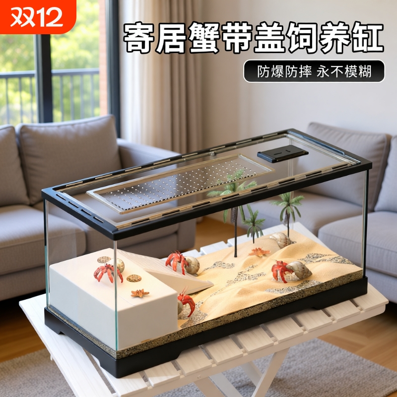 新手寄居蟹专用饲养箱套装