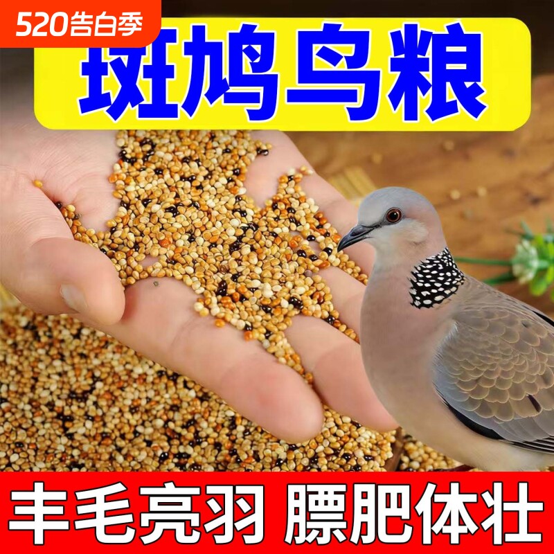 斑鸠专用粮食幼鸟五色黍子饲料投喂谷物鸽子小颗粒通用营养鸟饲料