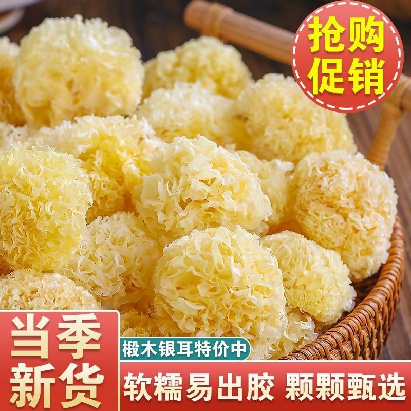 金小耳古田椴木小银耳甜糯出较多白木耳莲子羹银耳干货出胶甄选