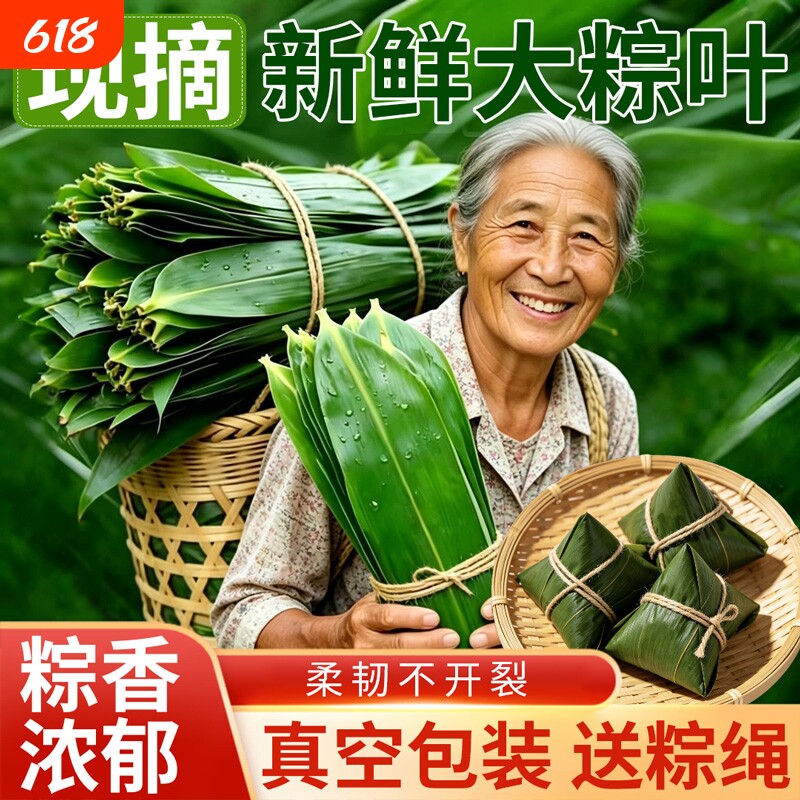 粽叶新鲜粽子叶特大号包粽子专用真空装天然野生现摘批发叶子