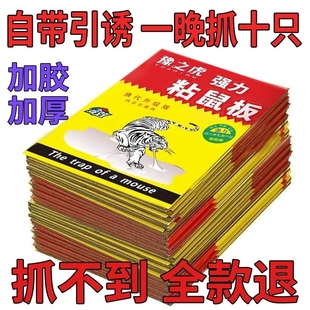 粘鼠板强力胶粘大老鼠贴老鼠粘超强家用夹笼扑捉器正品 灭捕鼠神器