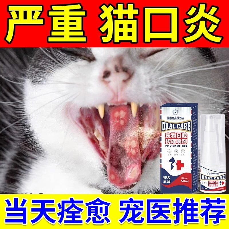 猫口炎特效猫咪烂嘴流口水牙龈红肿口腔清洁除臭专用喷雾剂药牙齿