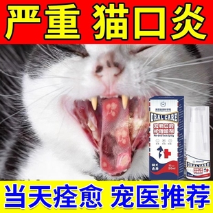 猫口炎特效猫咪烂嘴流口水牙龈红肿口腔消炎清洁除臭专用喷雾剂药