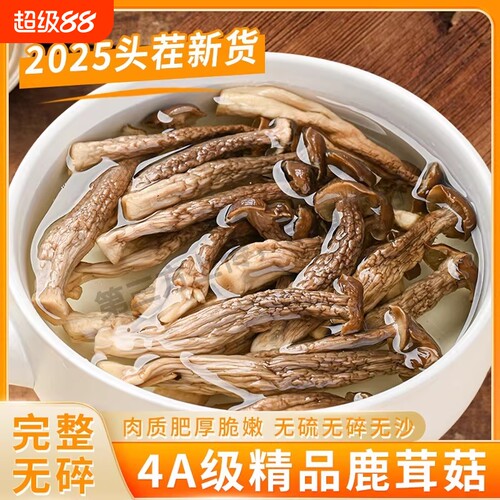 鹿茸菇高山官方旗舰店干货新鲜正品商用云南菌特产非野脆菇级煲汤