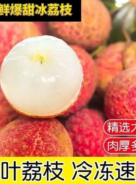 新鲜冷冻荔枝速冻冰冻冰鲜荔枝大果当季孕妇水果奶茶店批发包邮