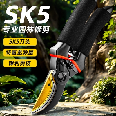 剪枝剪刀省力园林花艺剪花木园林果树修枝剪专用粗大枝剪园艺工具