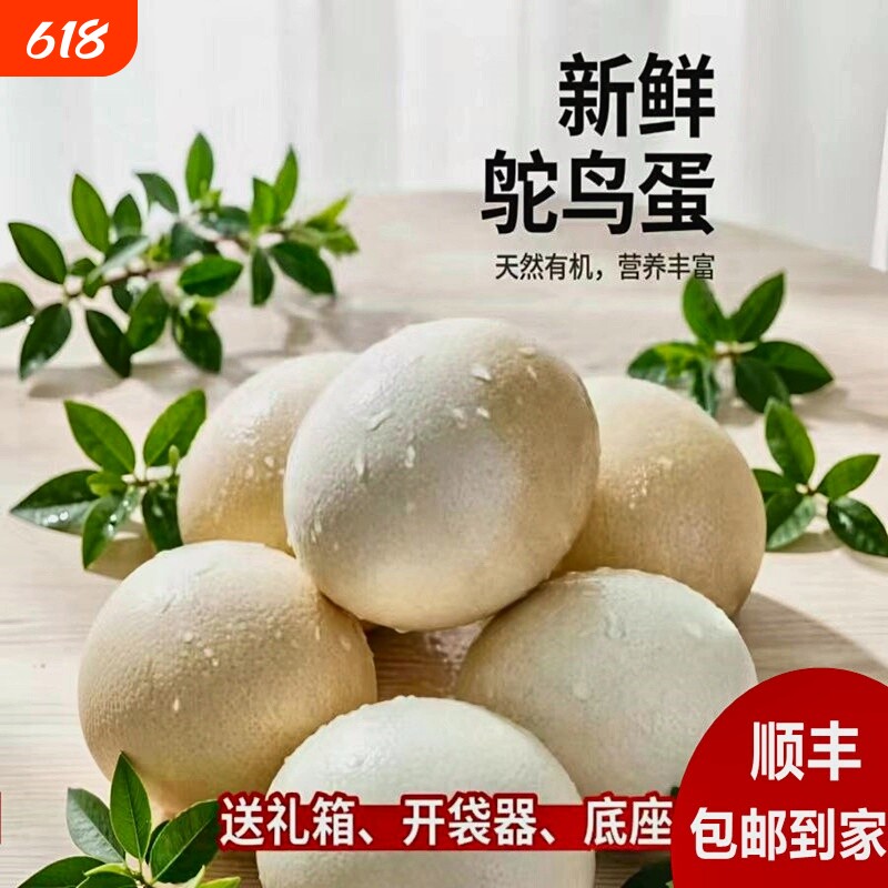 新鲜超大鸵鸟蛋顺丰包邮食用蛋王可食用驼鸟蛋营养丰富巨大蛋