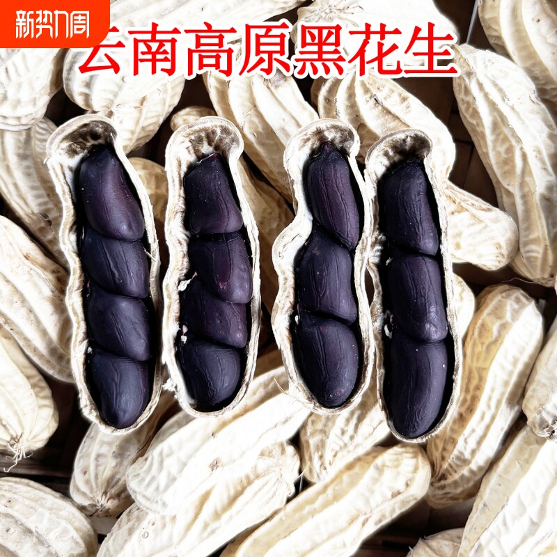 云南黑花生新鲜带壳大粒生黑花生甜晒干带壳富硒黑花生黑皮花生