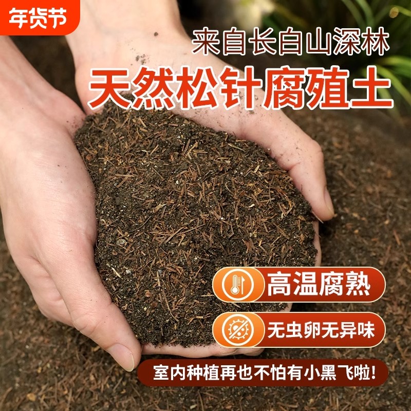 松针腐殖土天然腐叶腐熟纯君子兰花多肉泥炭营养土养花通用专用土,鲜花速递/花卉仿真/绿植园艺,介质/营养土,淘宝优惠券,粉丝福利购,淘宝优惠卷