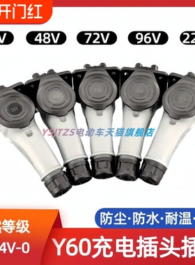 YEEDA四轮电瓶车充电头充电枪36V48V72V96V220V 怡达Y-60插头插座