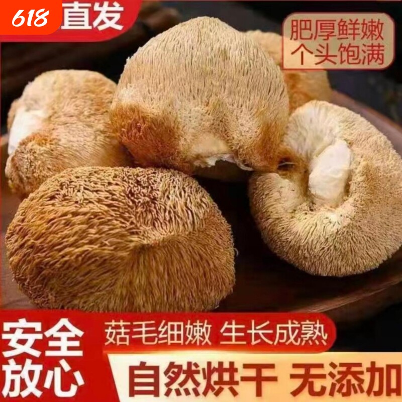 养胃猴头菇干货 猴头菇块 脆嫩鲜香肉厚紧实剪根无杂煲汤滋补佳品
