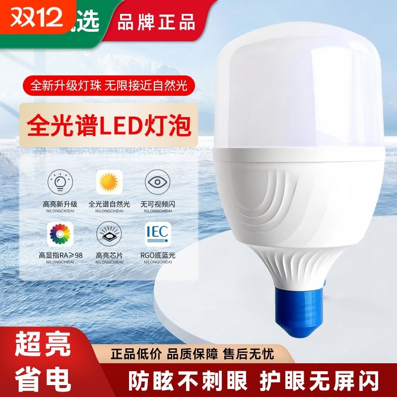 鼎雁led灯泡节能E27螺口球泡工地白光6500K超亮防水高亮灯