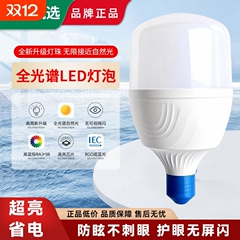 鼎雁led灯泡节能E27螺口球泡工地6500K超亮防水灯具照明螺纹LED灯