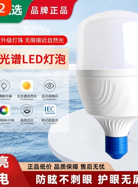 鼎雁led灯泡节能E27螺口球泡工地6500K超亮防水灯具照明室内螺纹