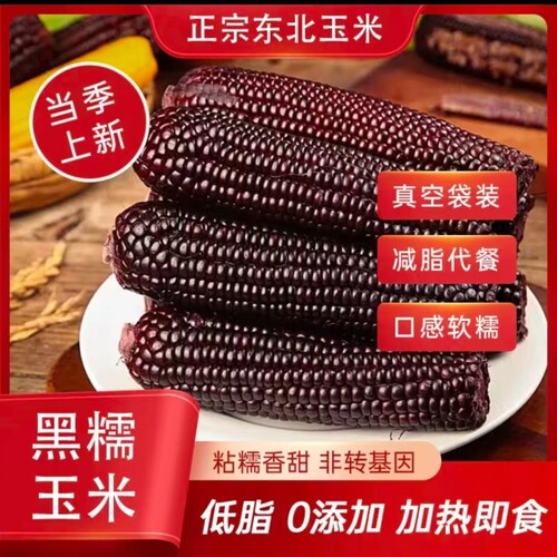 东北煜松黑糯玉米鲜食香甜软糯甜糯玉米棒手拎袋真空装现摘粗粮