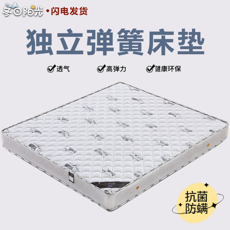 冬日阳光3E棕软硬适中扭力弹簧