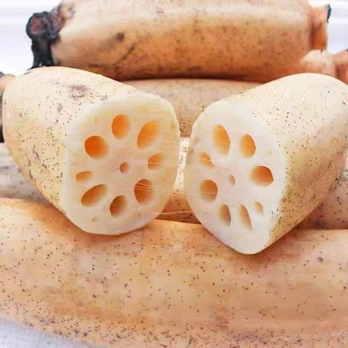 洪湖莲藕新鲜脆藕生吃凉拌炒藕湖北莲藕水果藕嫩藕新花藕包邮