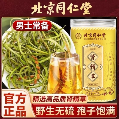 肾精茶野生草黄金草男士肾精草嗷嗷叫茶官方正品旗舰店